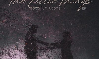 Coconut Rootz - The Little Things EP